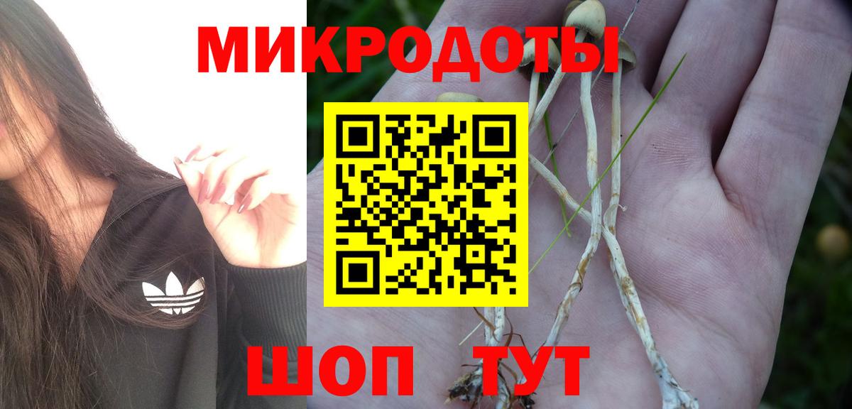 Галлюциногенные грибы Psilocybine cubensis  Вход с VPN  купить наркоту  Дмитров 